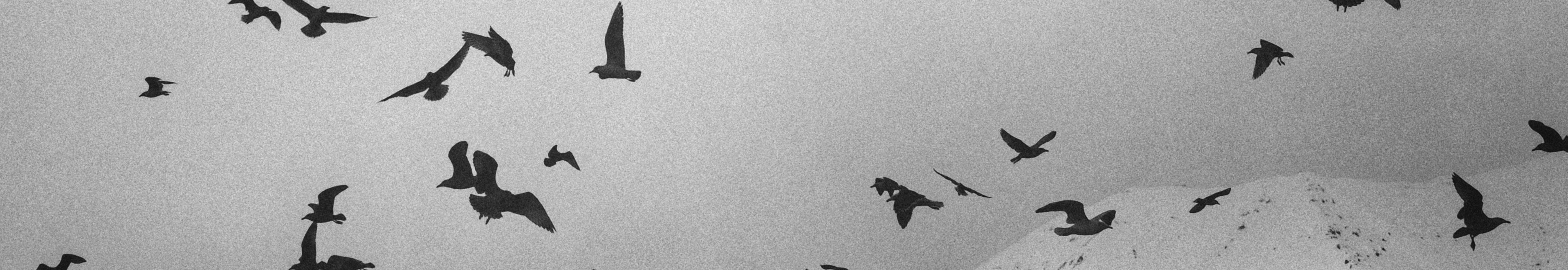 User profile cover image