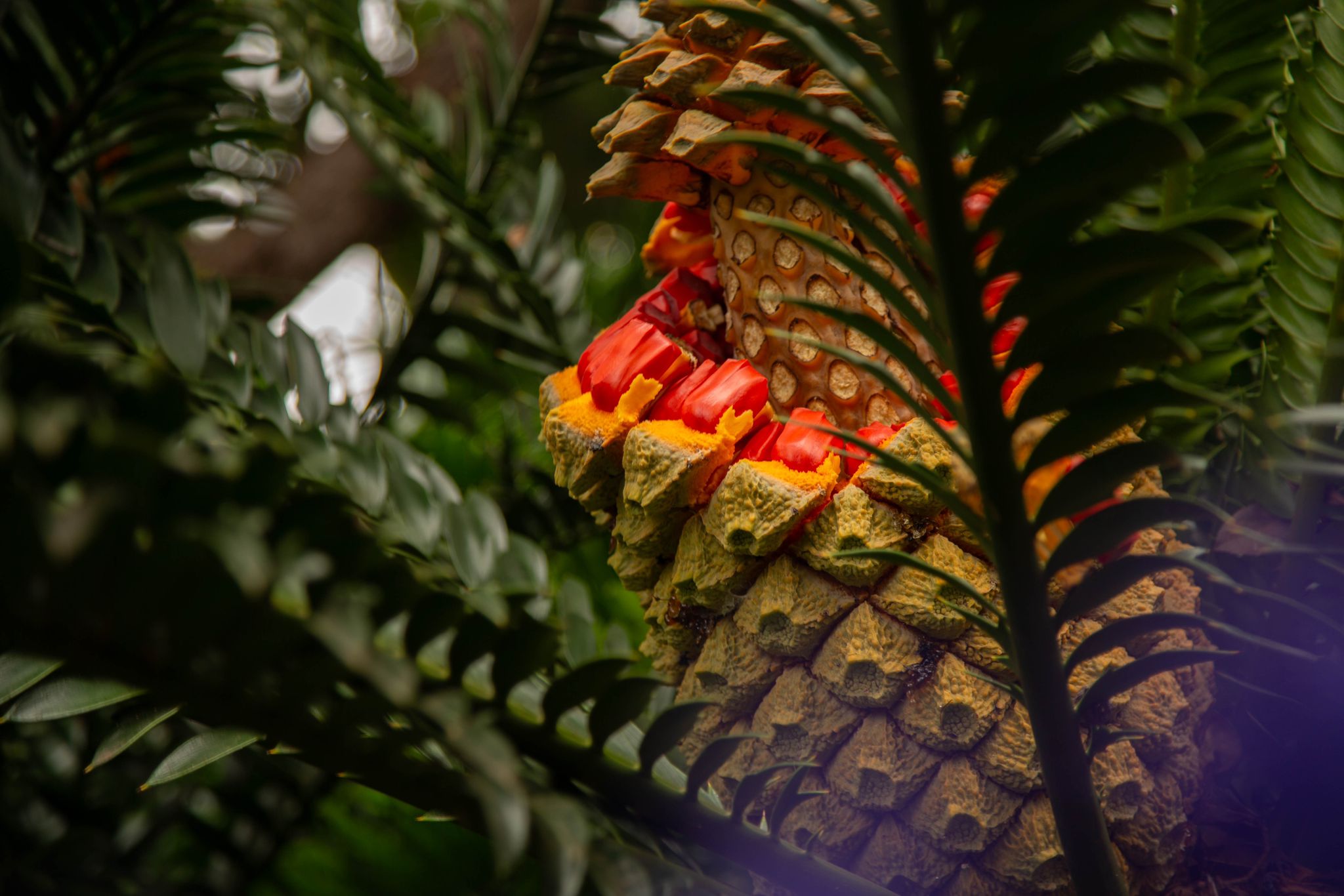 User profile cover image