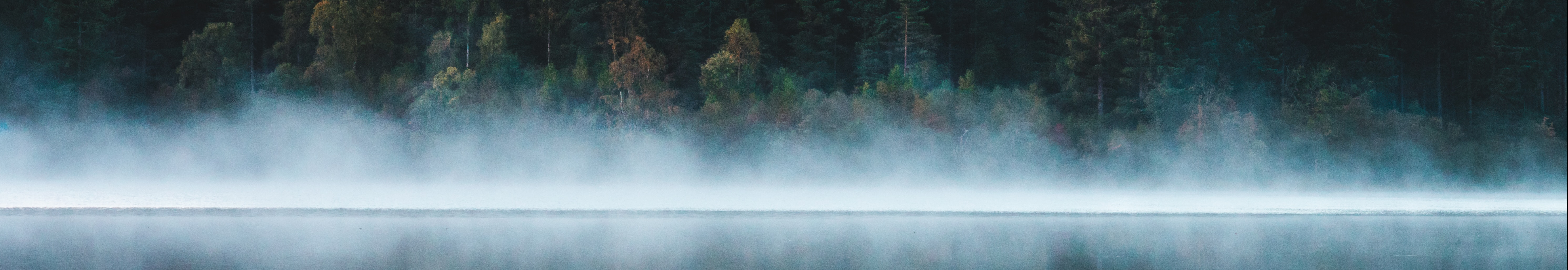 User profile cover image