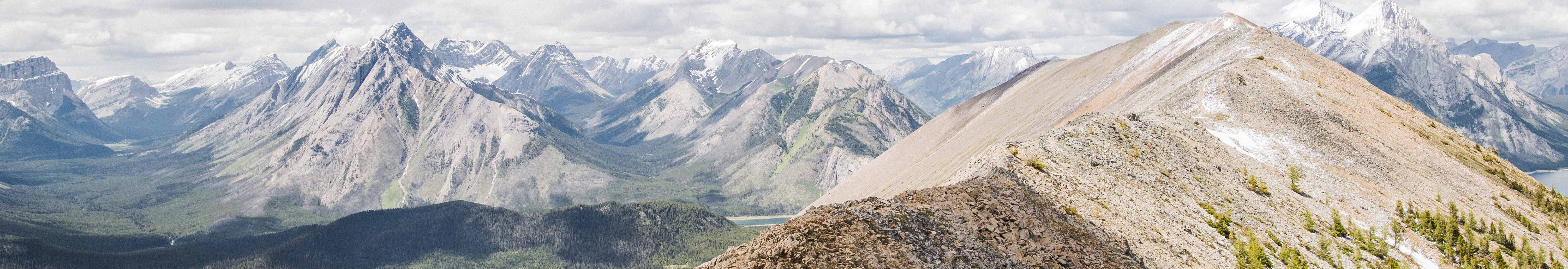 User profile cover image