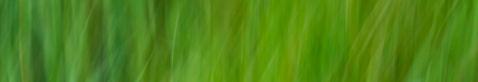 User profile cover image