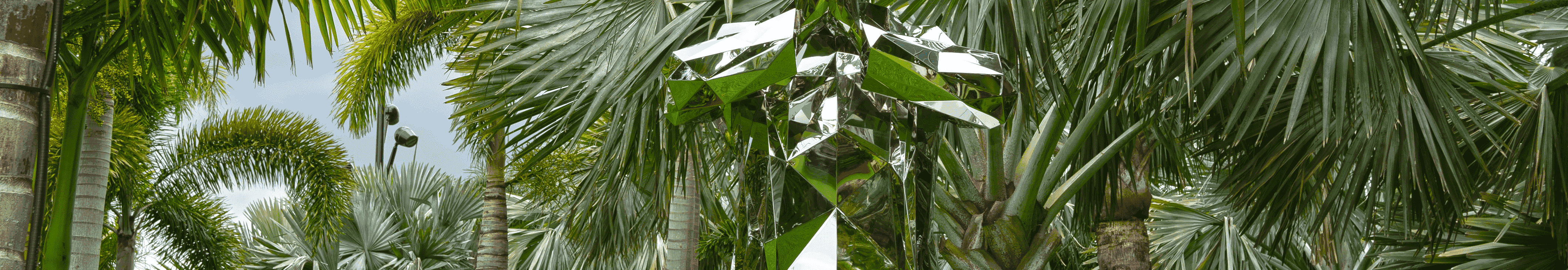 User profile cover image