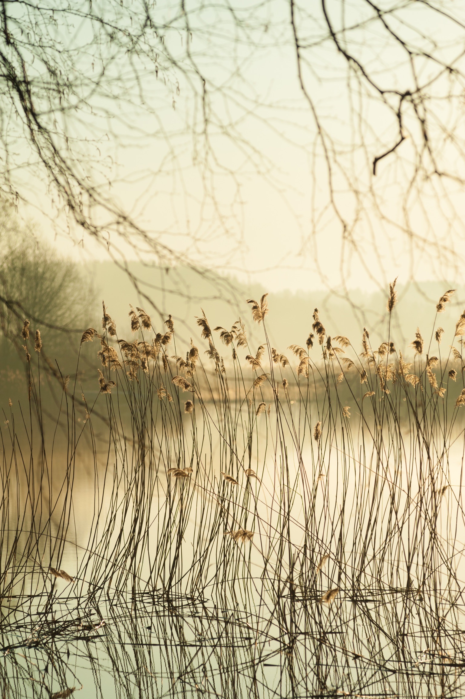 User profile cover image