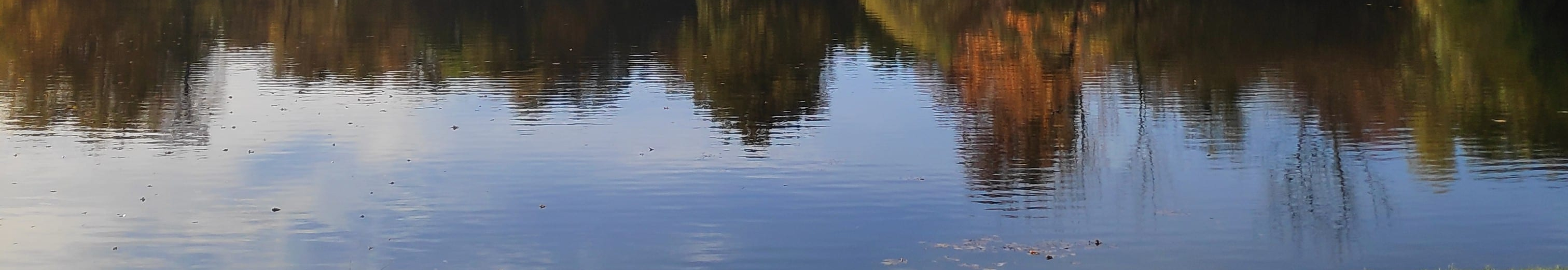 User profile cover image