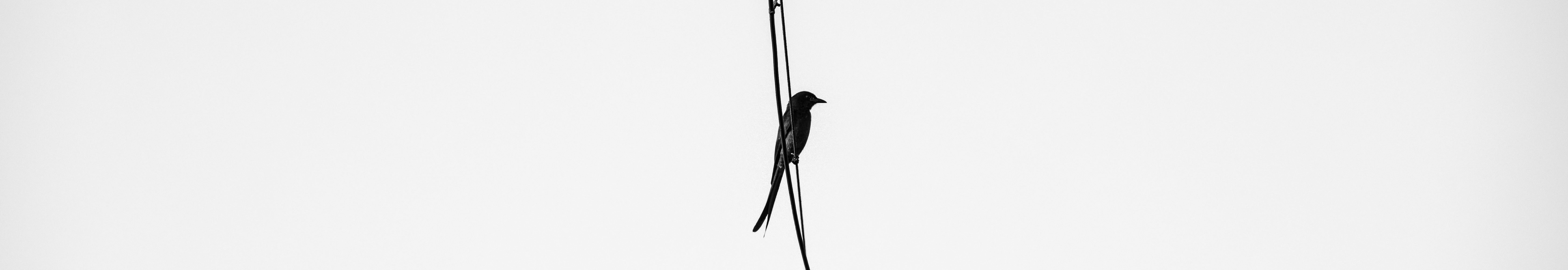 User profile cover image