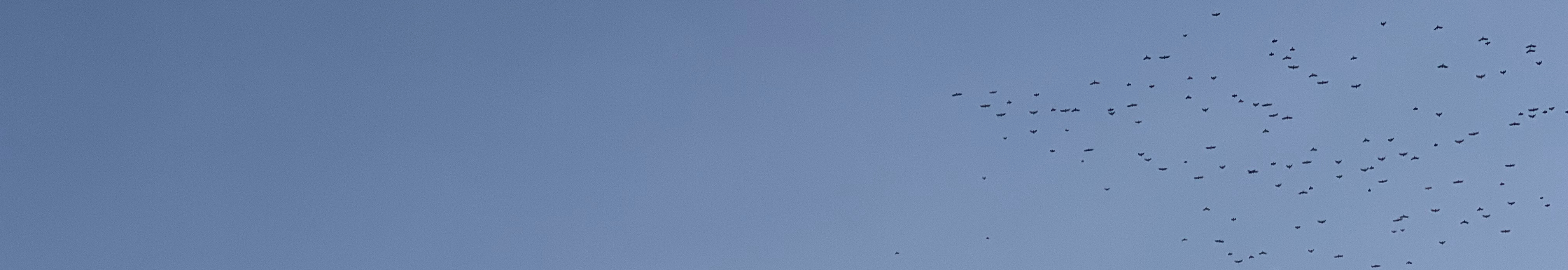 User profile cover image