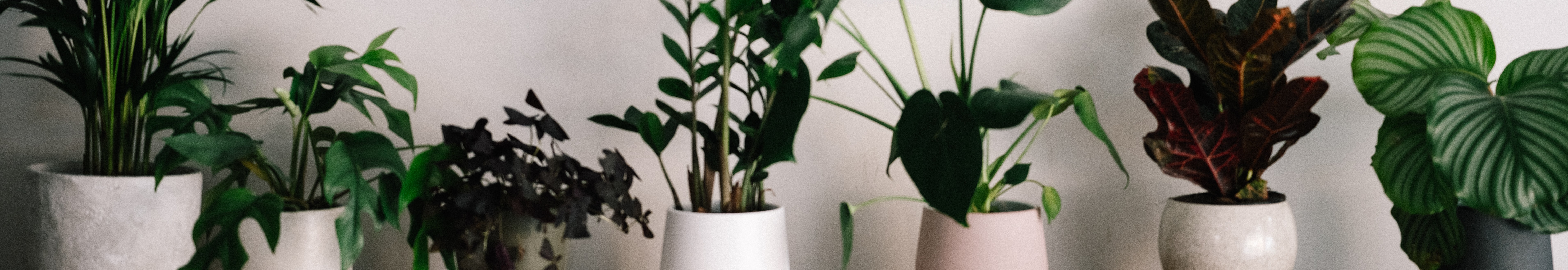 User profile cover image