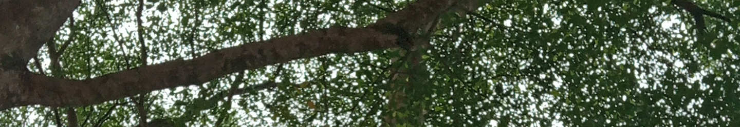 User profile cover image