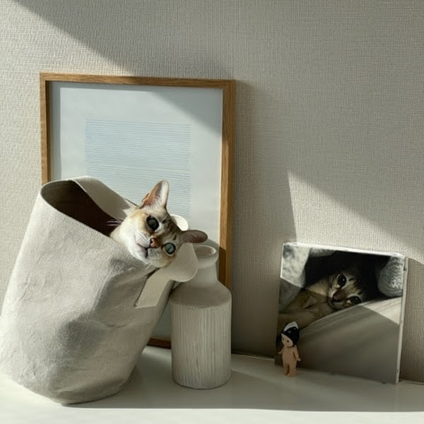 Lihua Sun