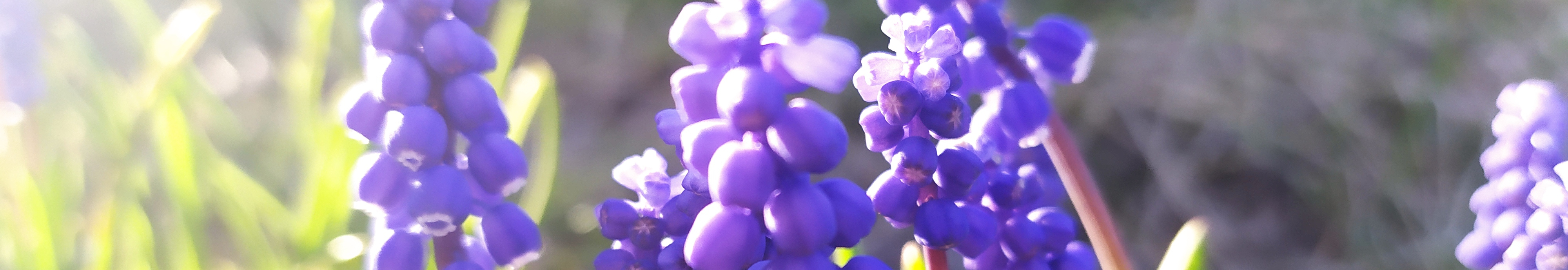 User profile cover image