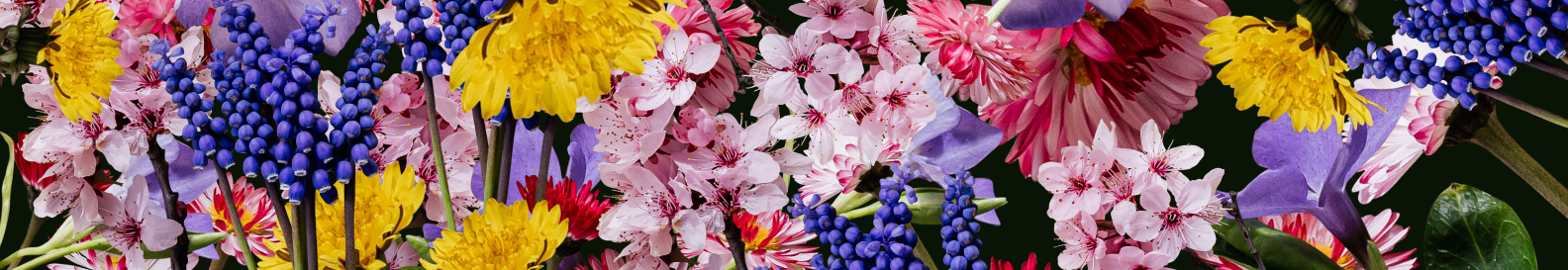 User profile cover image