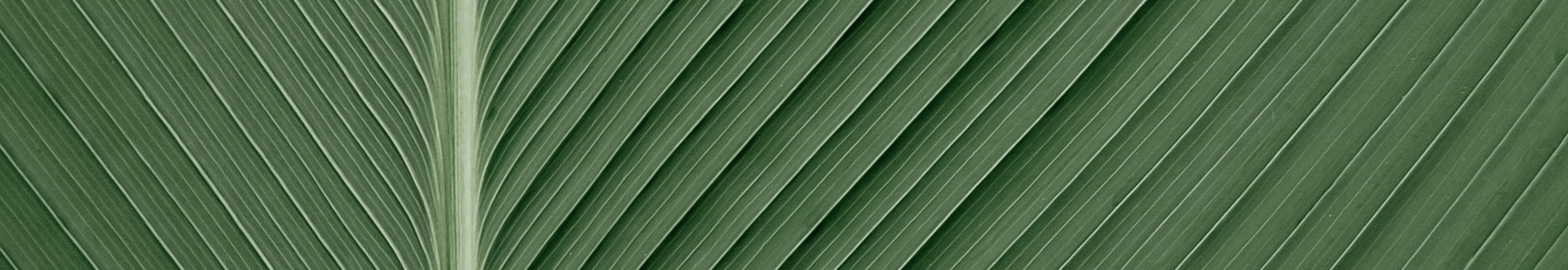 User profile cover image