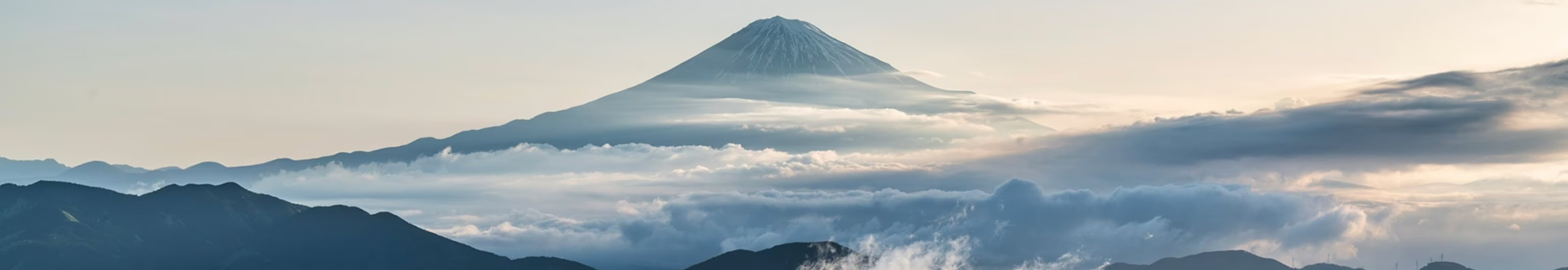 User profile cover image