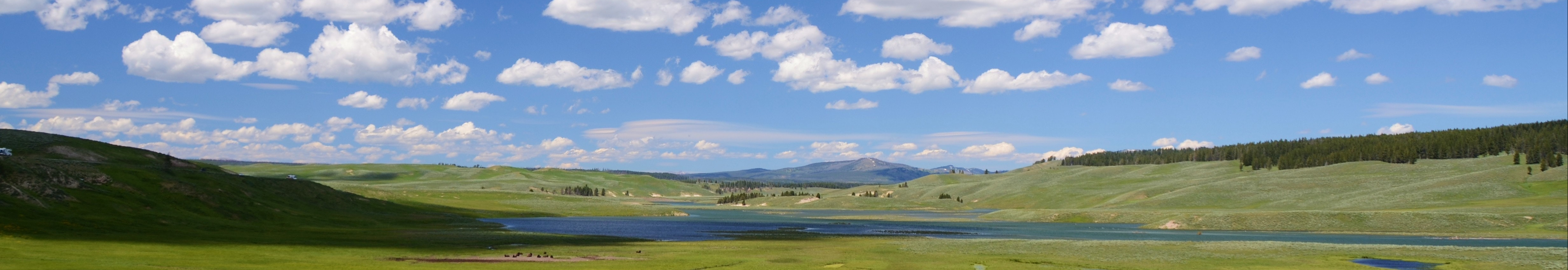 User profile cover image