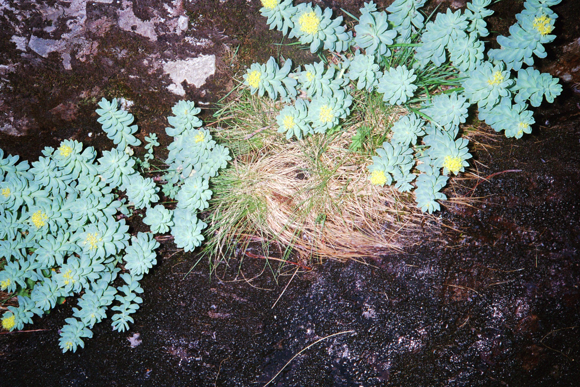 User profile cover image