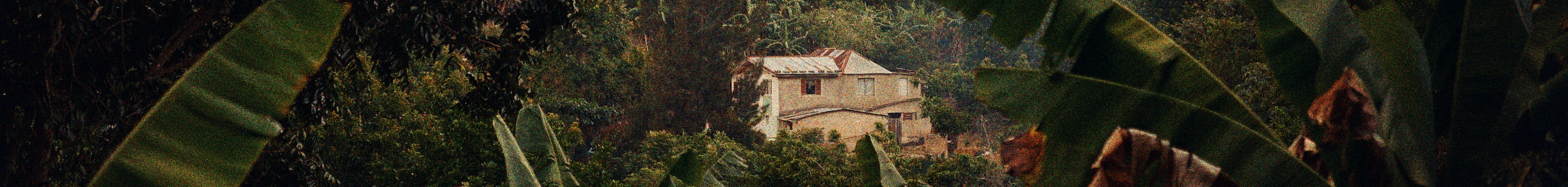 User profile cover image