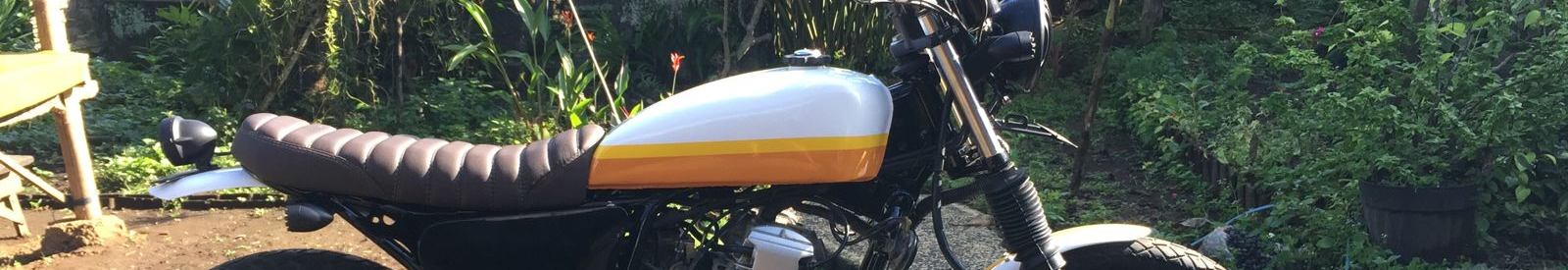 User profile cover image