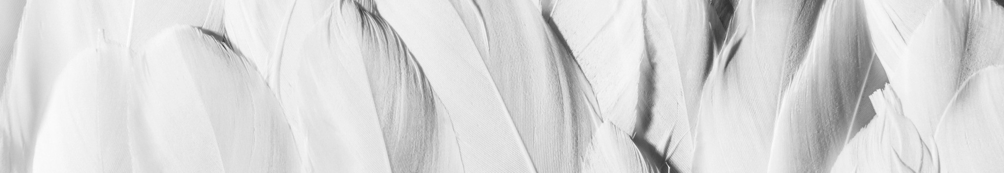 User profile cover image