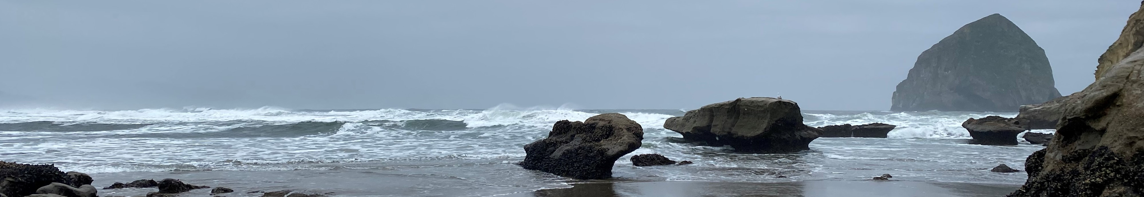 User profile cover image