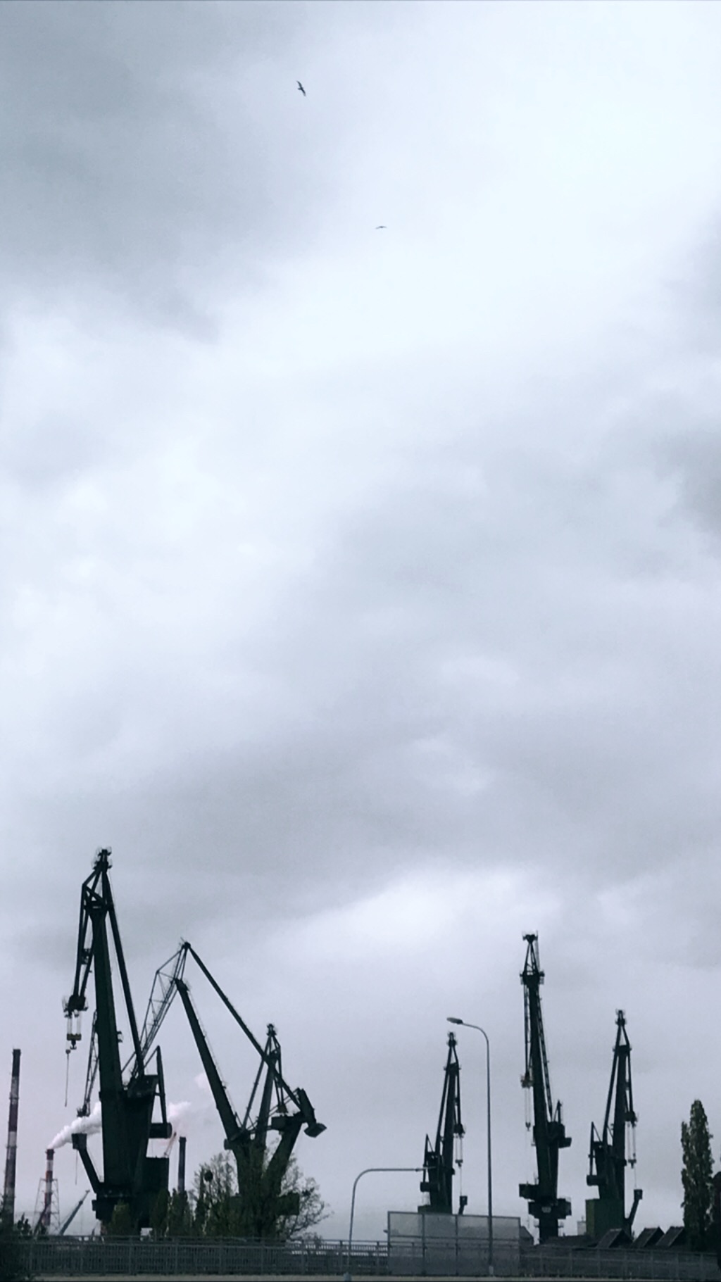User profile cover image