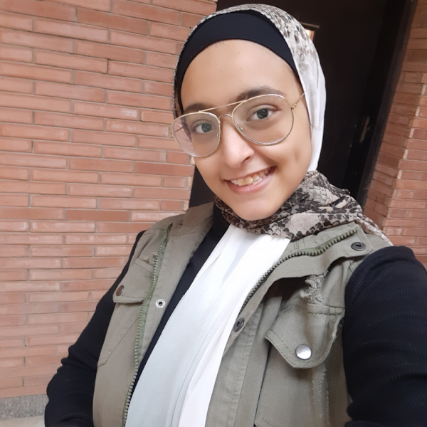 Sarah Hussein Bashandy