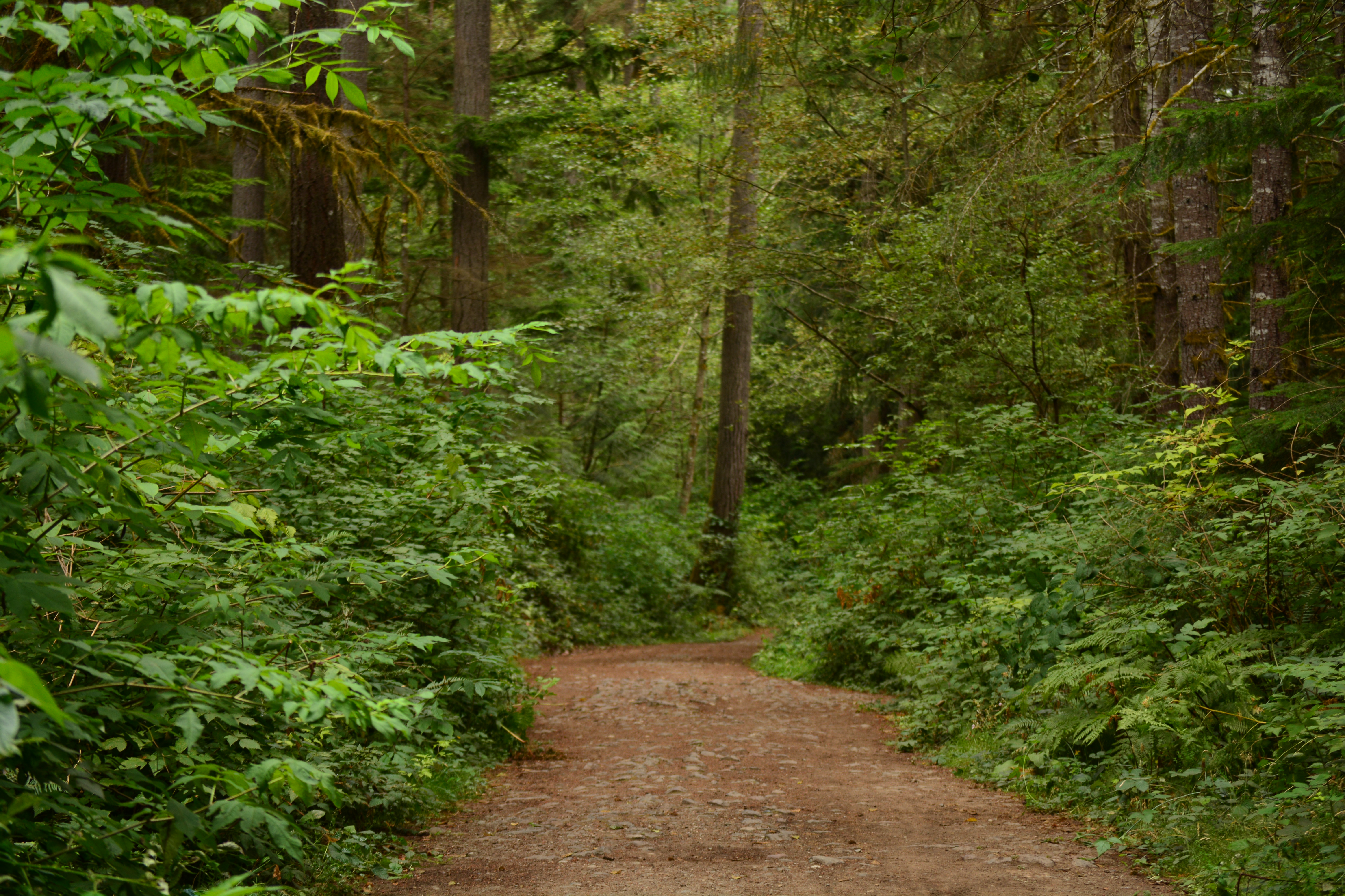 User profile cover image