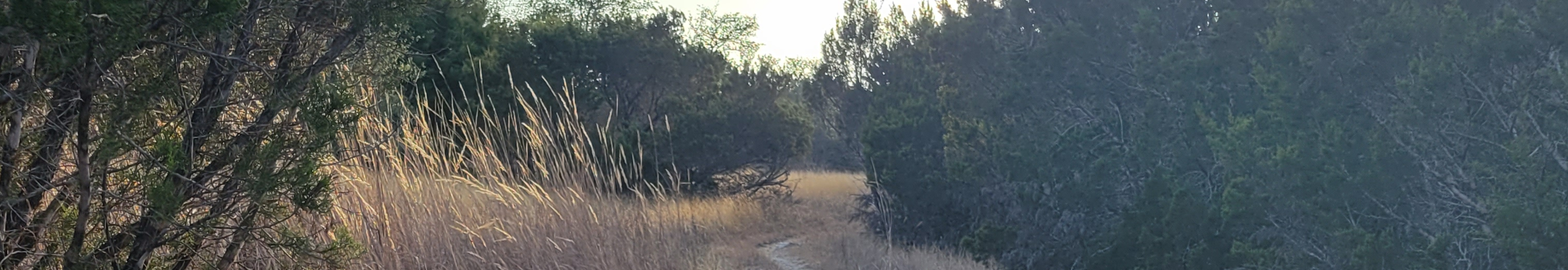 User profile cover image