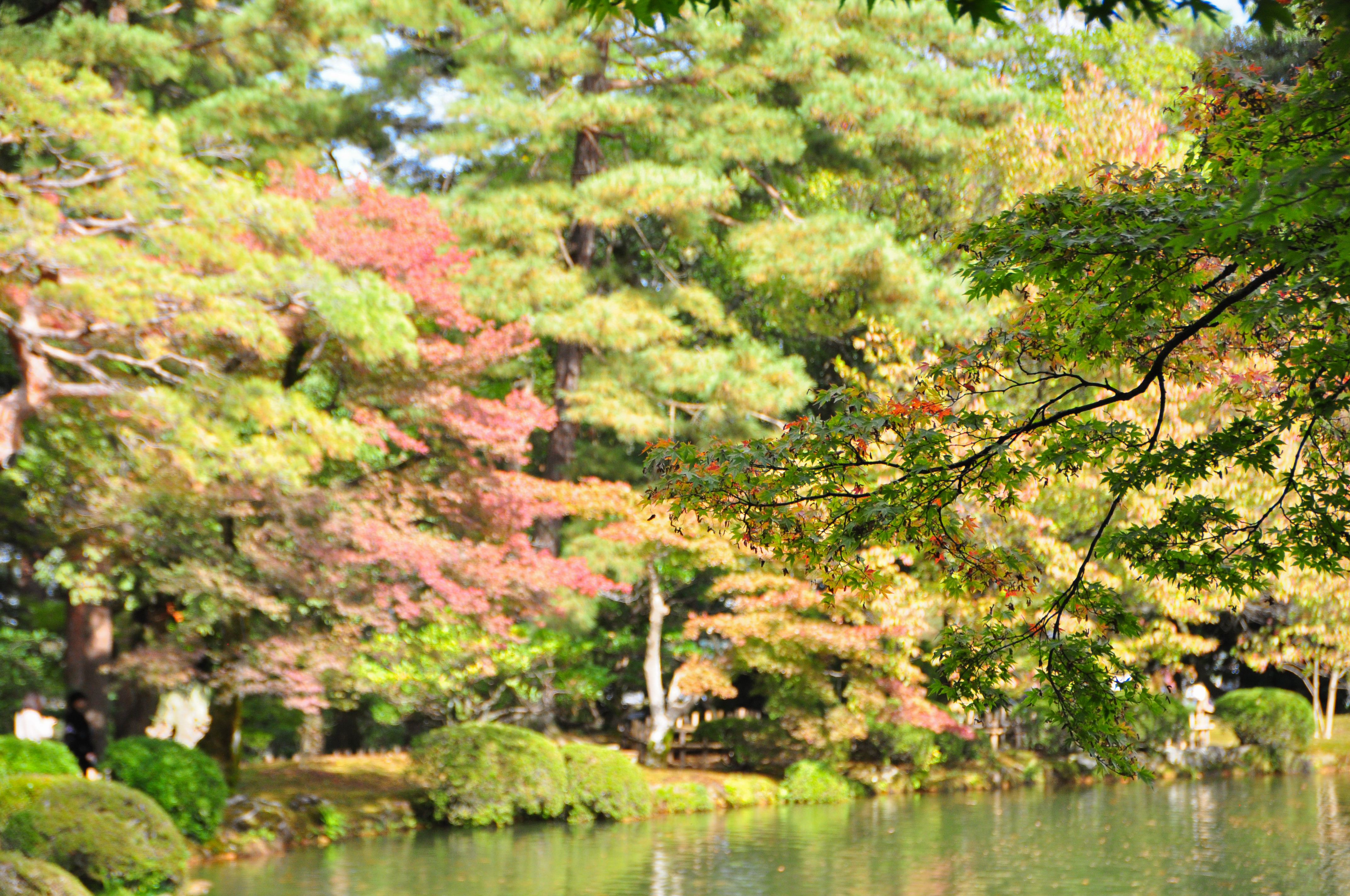 User profile cover image