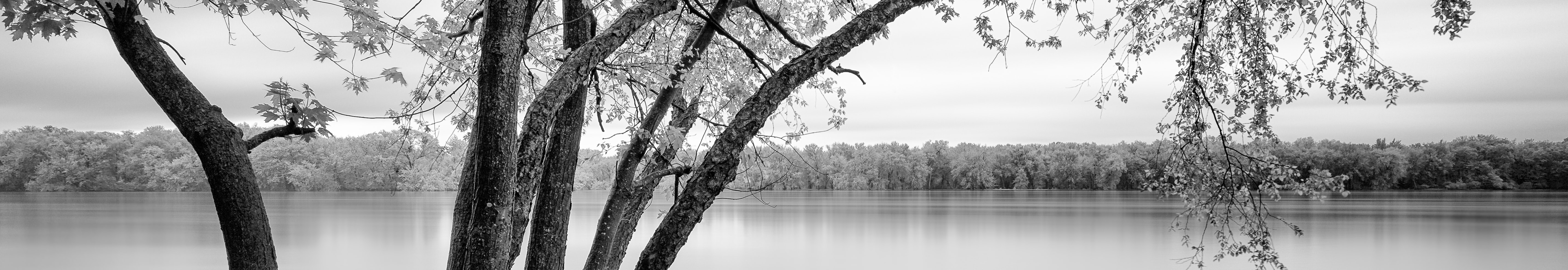 User profile cover image