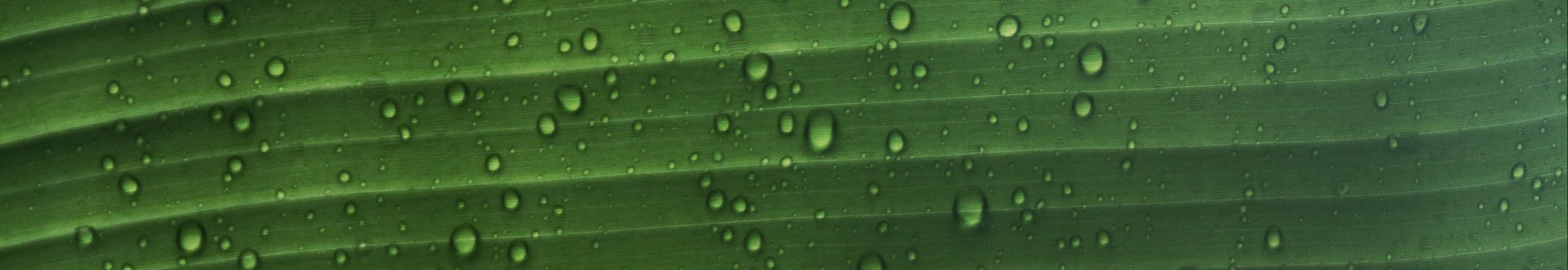 User profile cover image