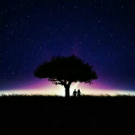 Bayan Farag Alreashy