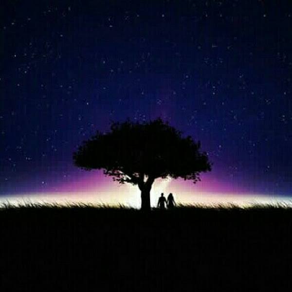 Bayan Farag Alreashy