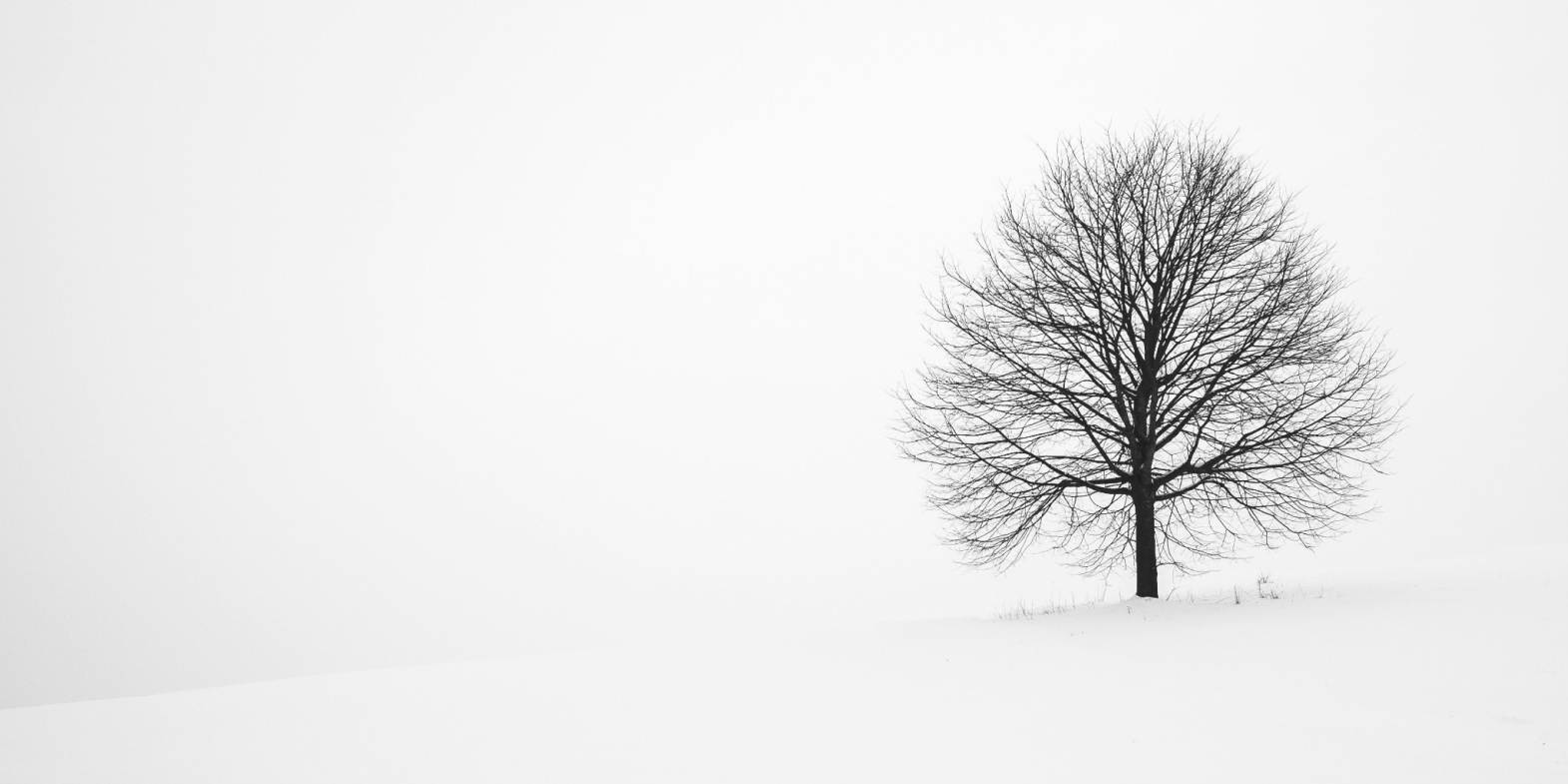User profile cover image