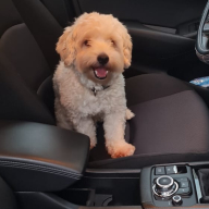 José Gabriel Proaño