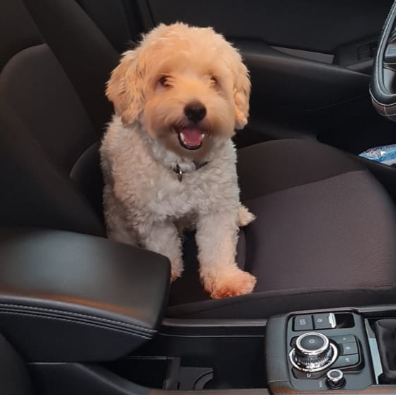 José Gabriel Proaño