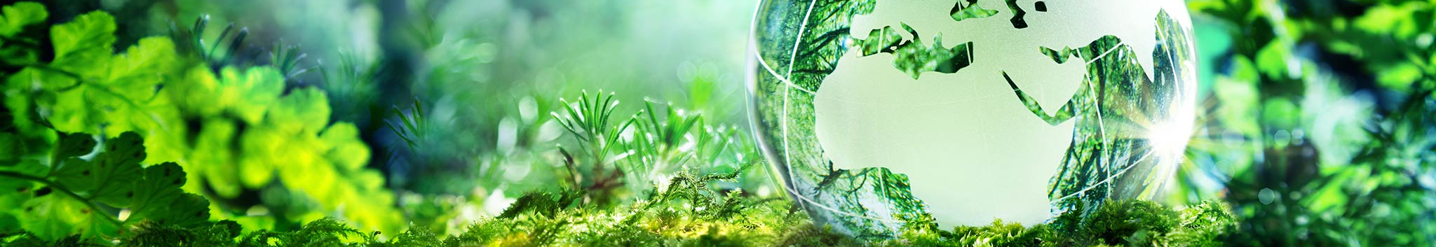 User profile cover image