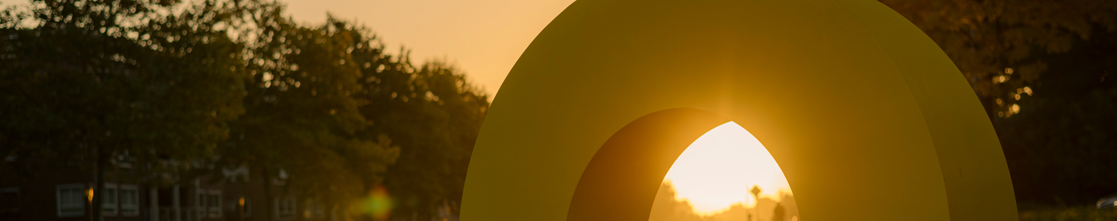 User profile cover image