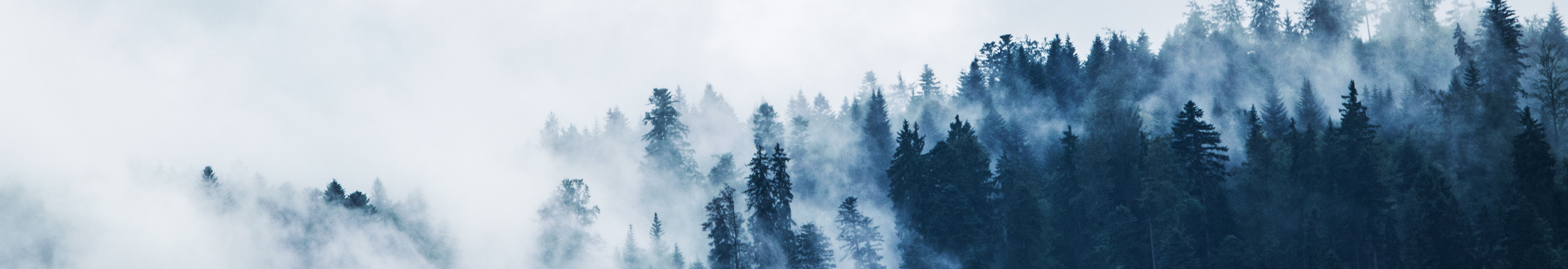 User profile cover image