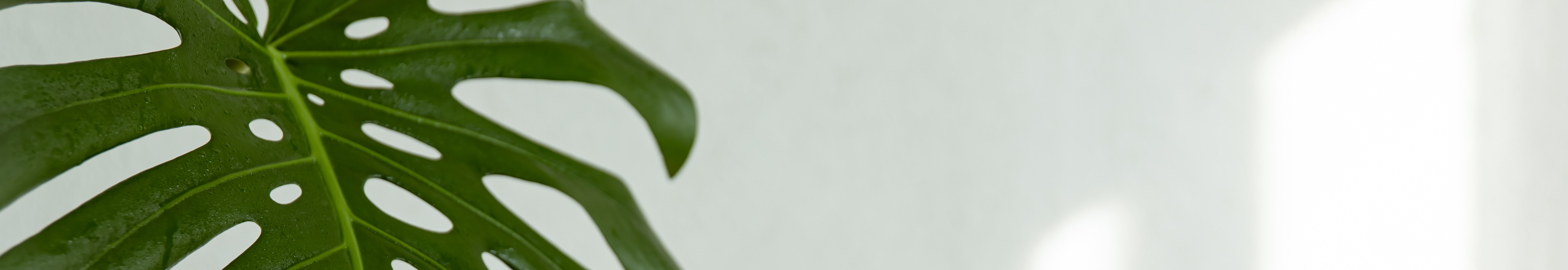 User profile cover image