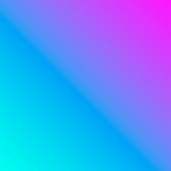 Sara Rodrigues Pereira