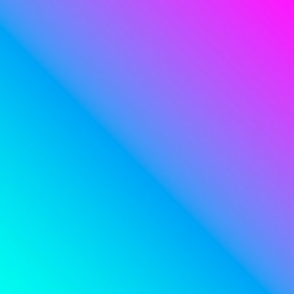 Sara Rodrigues Pereira