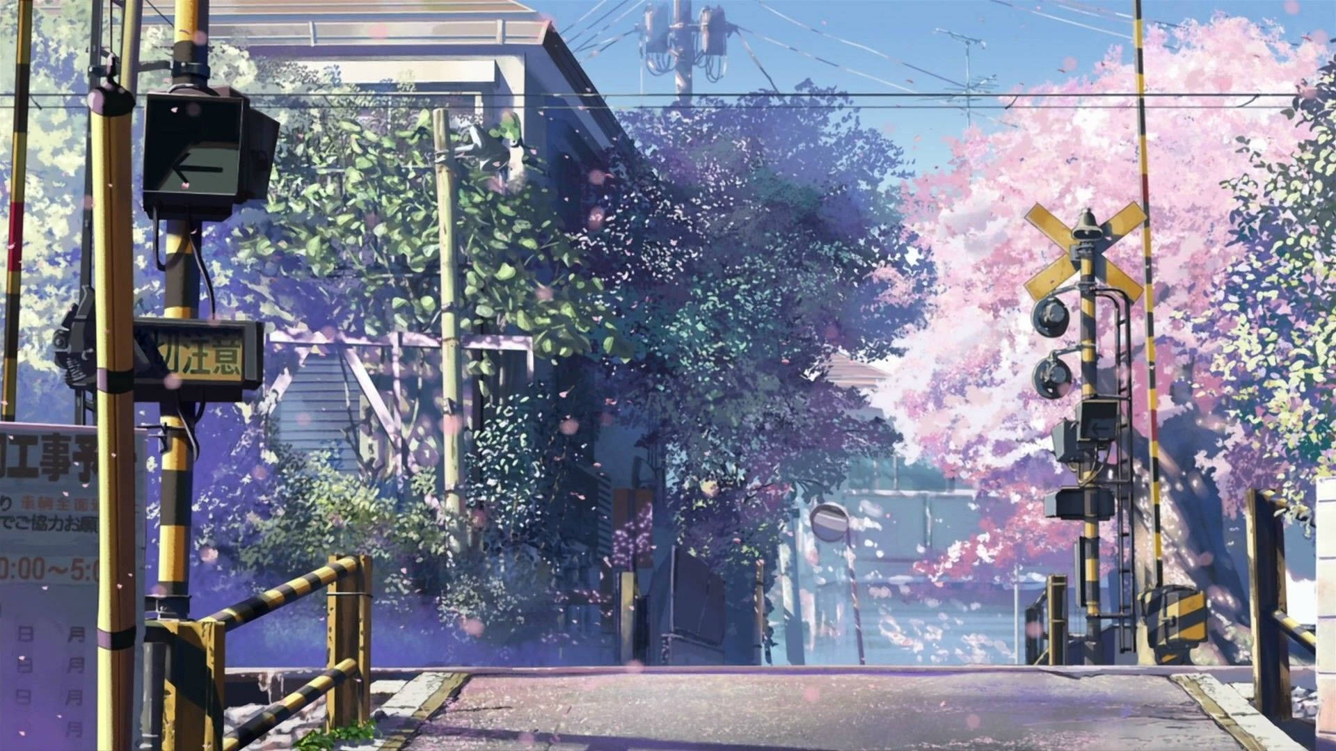 User profile cover image