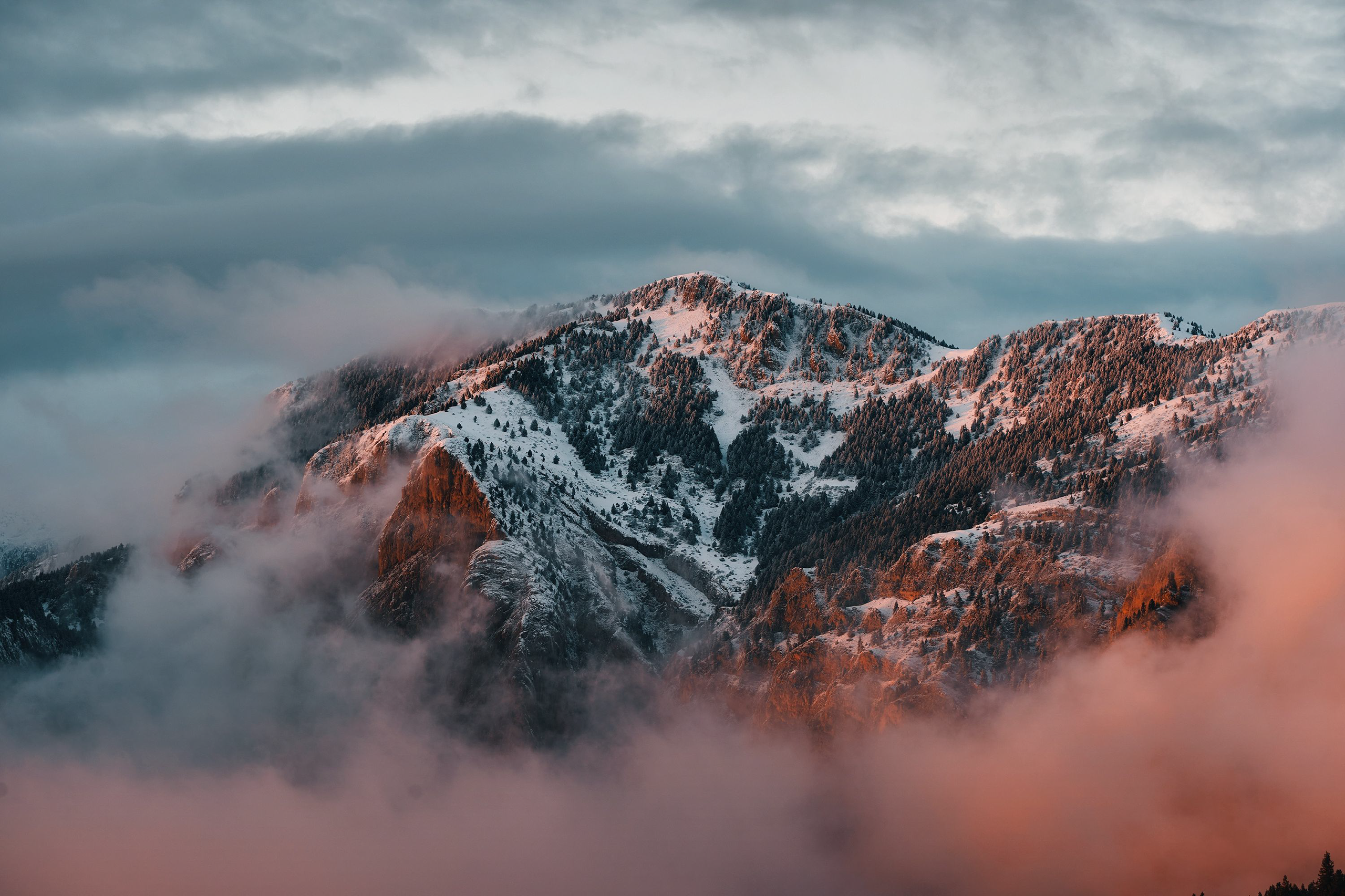 User profile cover image