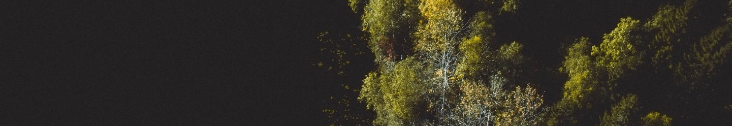 User profile cover image