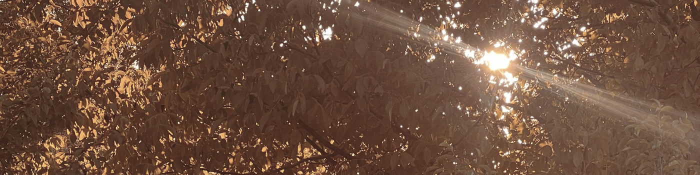 User profile cover image