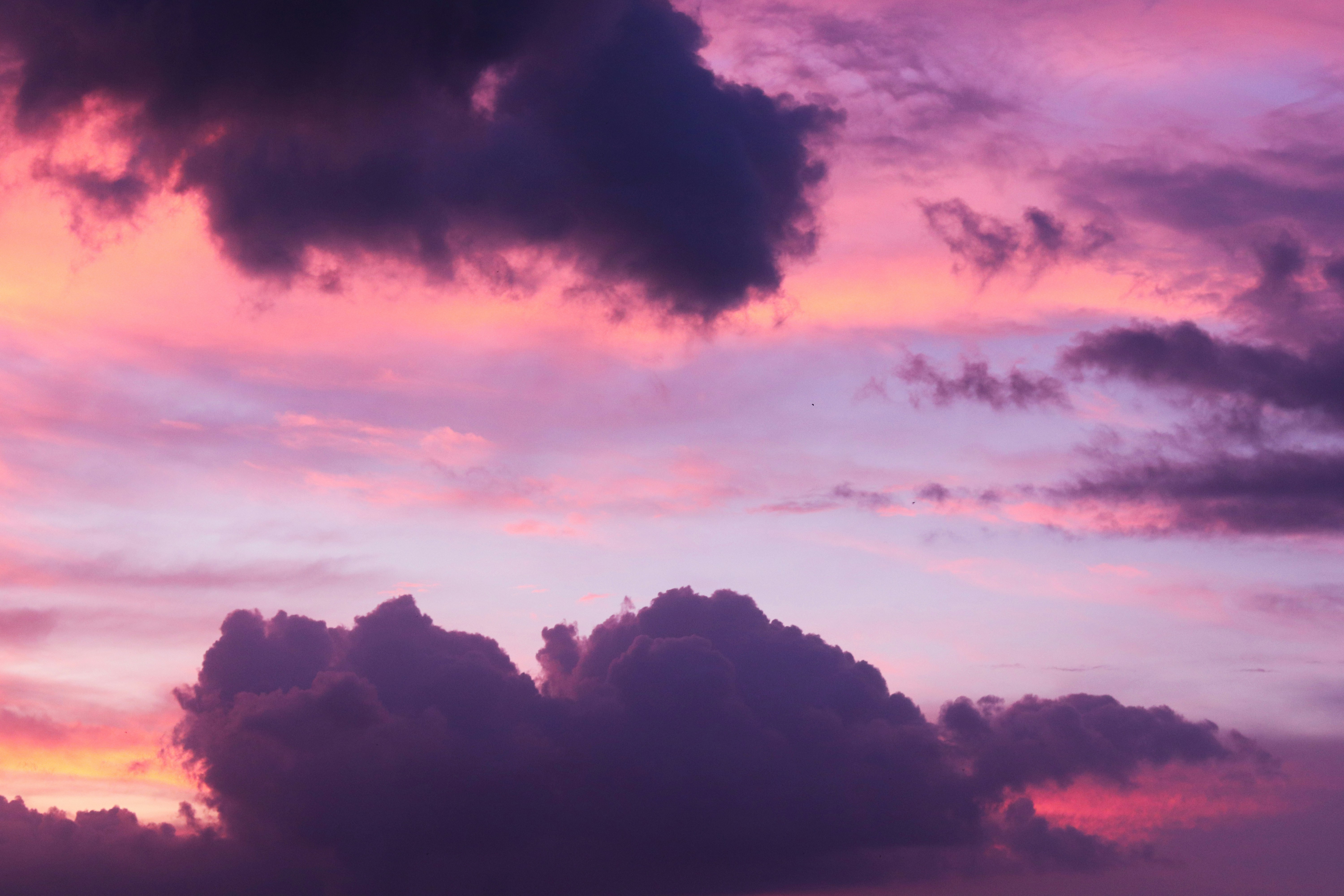 User profile cover image