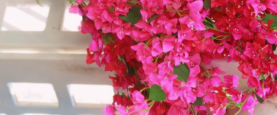 User profile cover image