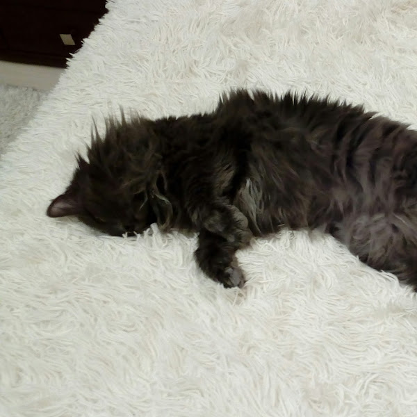 Егор Филимонов