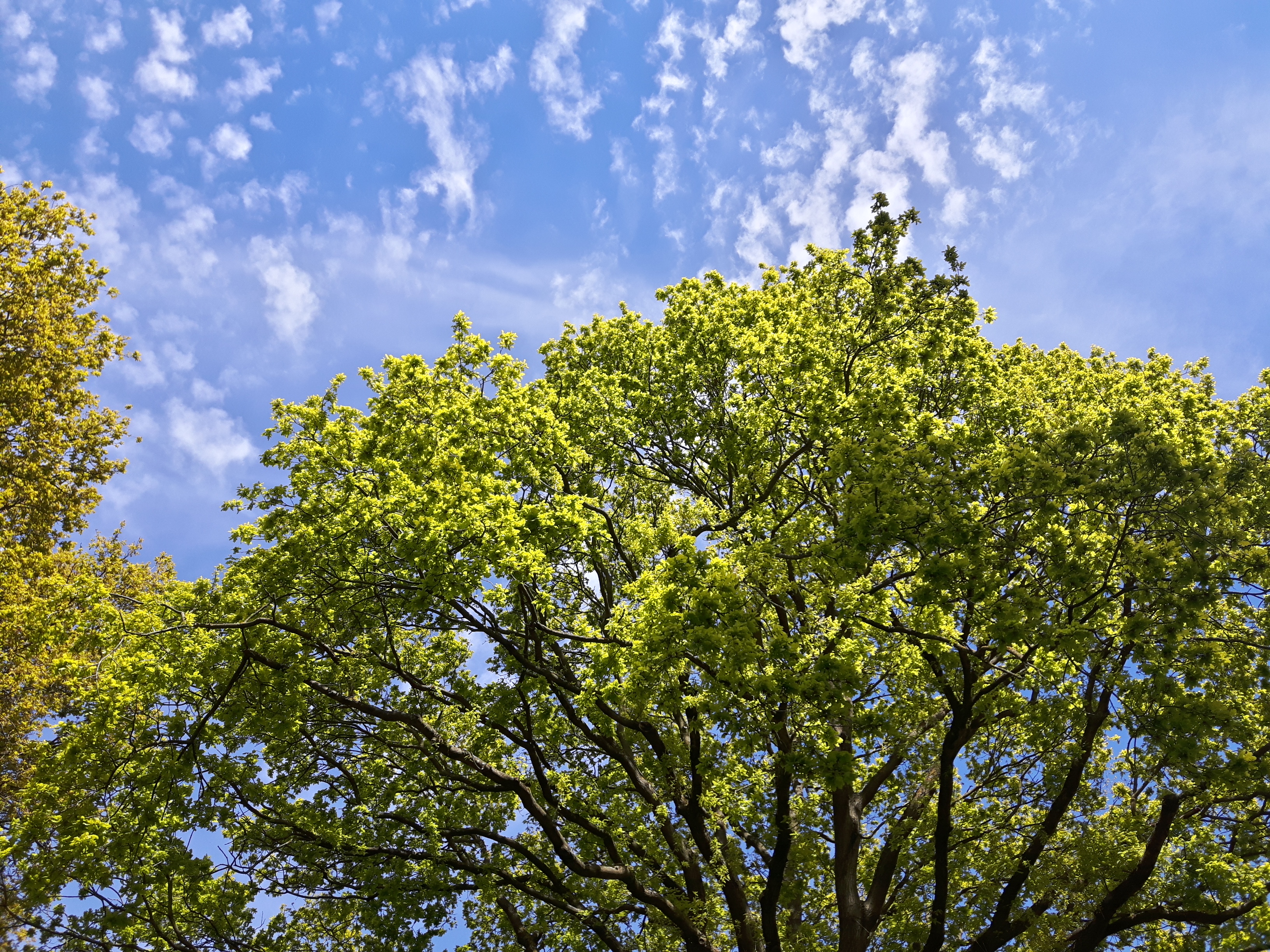 User profile cover image