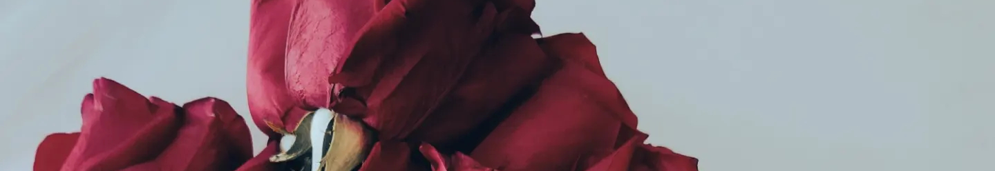 User profile cover image